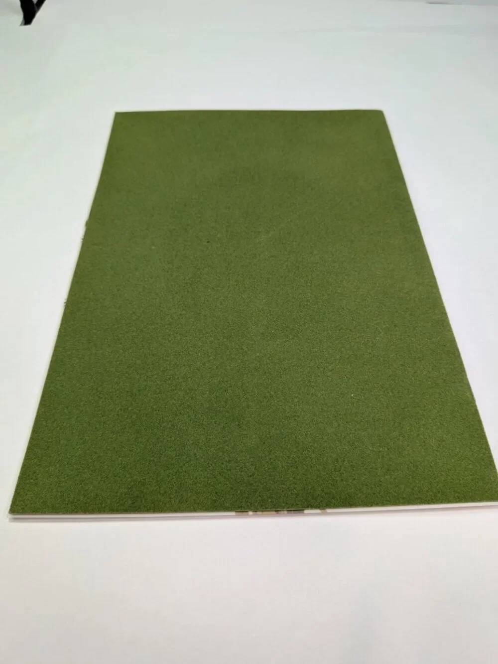 Flocked Cover Mat Vintage 1983 G.E. Pogue Seed Co Catalog Texas Grass Ephemera